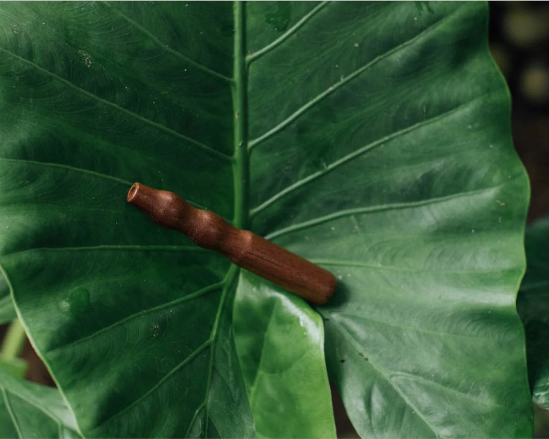 Mindfulness and Stress Relief Made Simple